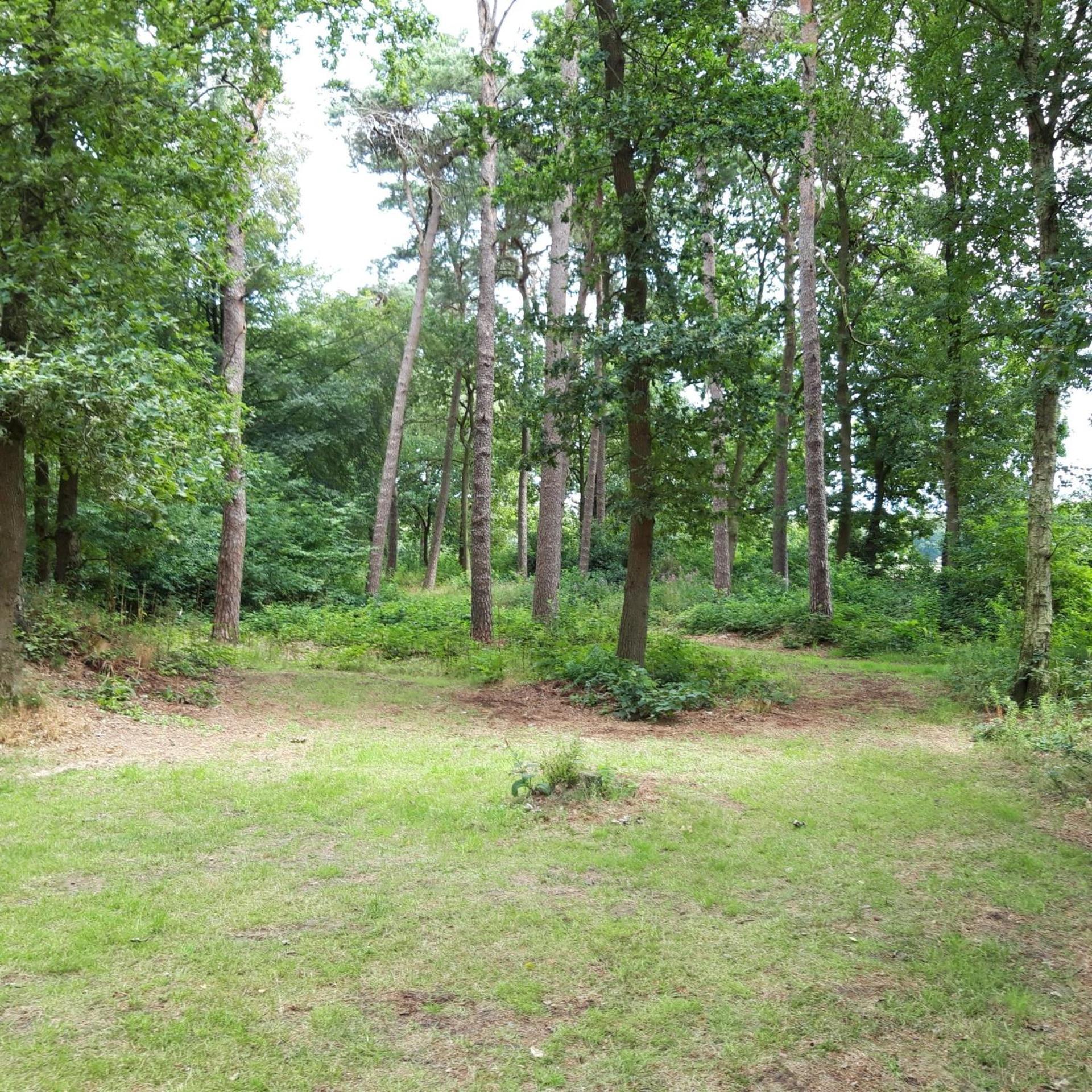 Vakantiehuis Op Top Locatie #Ommen Kültér fotó