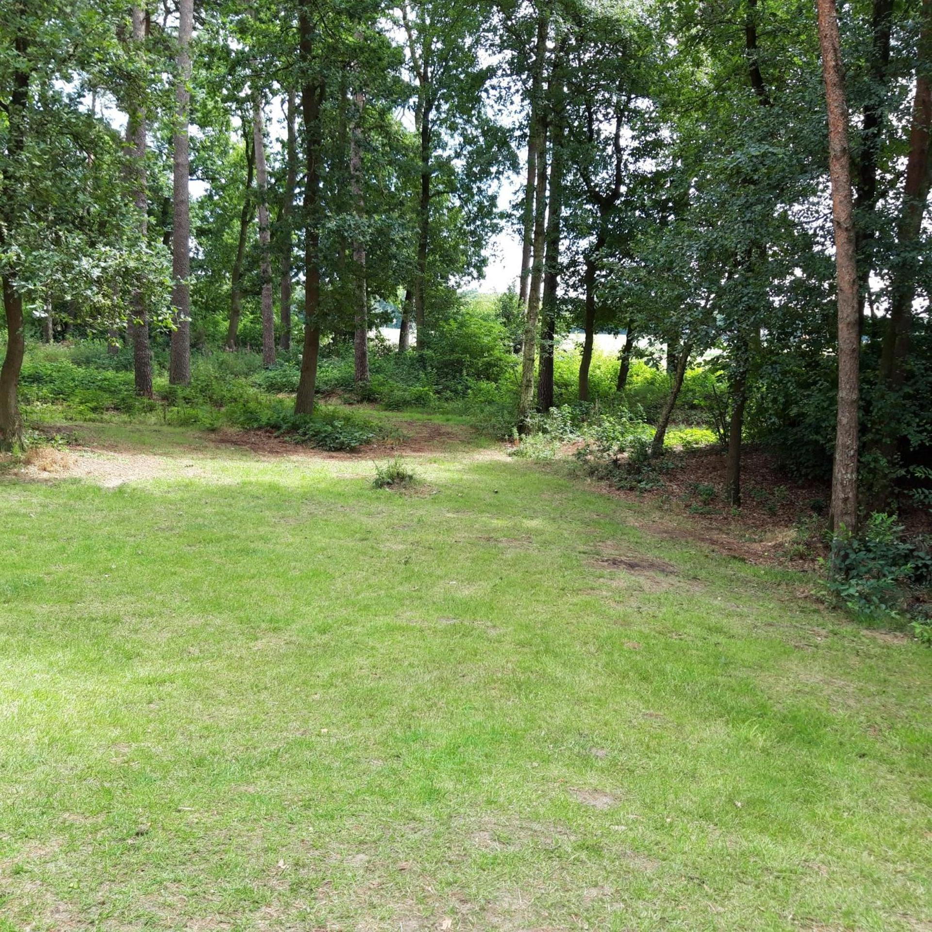 Vakantiehuis Op Top Locatie #Ommen Kültér fotó